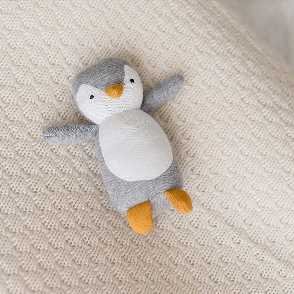 Peter Penguin Toy