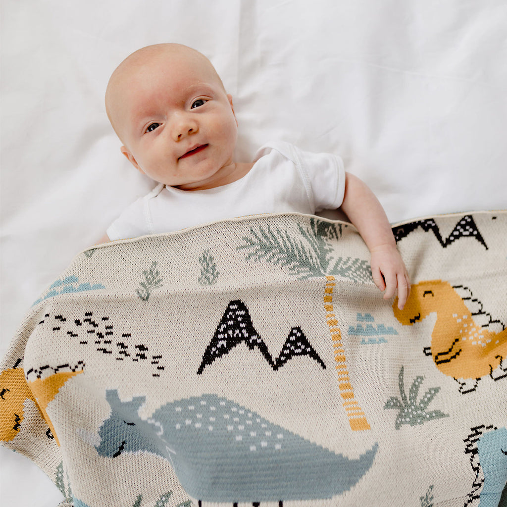 Dino Dinosaur Baby Blanket
